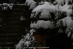 fotografie-2