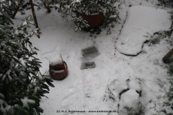 fotografie-3
