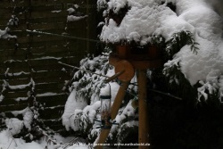 fotografie-11