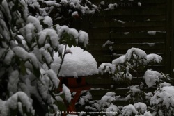 fotografie-13