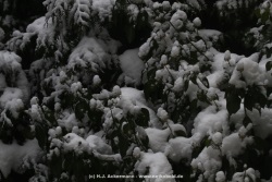 fotografie-18