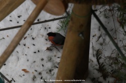 fotografie-5