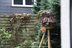 fotografie-1