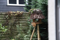 fotografie-2