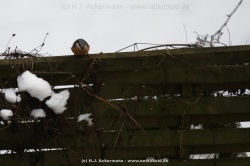 fotografie-18