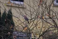 fotografie-6