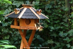 fotografie-28