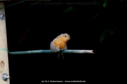 fotografie-48