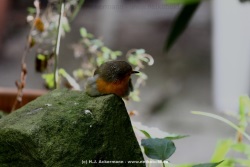 fotografie-51