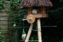 fotografie-31