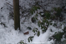 fotografie-5