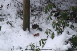 fotografie-10