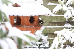 fotografie-15
