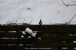fotografie-22