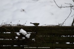 fotografie-23