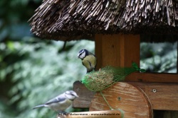 fotografie-11