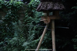 fotografie-18