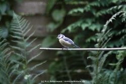 fotografie-22