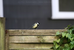 fotografie-65