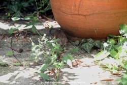 fotografie-6