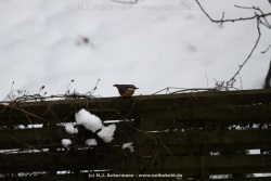 fotografie-2
