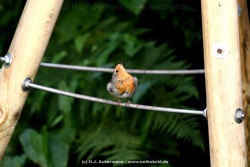 fotografie-7