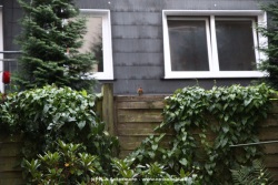 fotografie-21