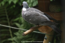 fotografie-4