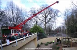 fotografie-4