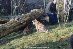 fotografie-11