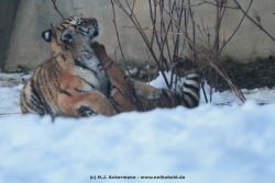 fotografie-18