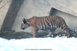 fotografie-19