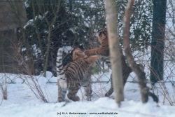 fotografie-20