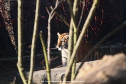 fotografie-12