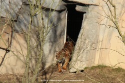 fotografie-1