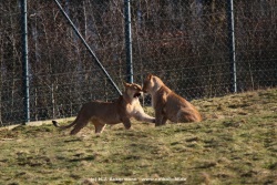 fotografie-14