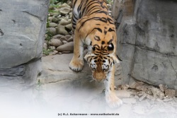 fotografie-16
