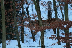 fotografie-19