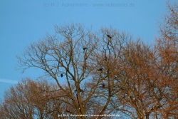 fotografie-42