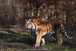 fotografie-20