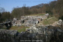 fotografie-10