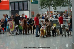 fotografie-1