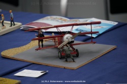 fotografie-15