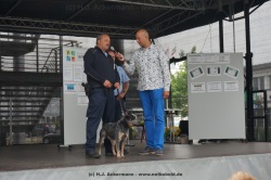 fotografie-1