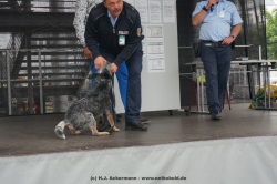 fotografie-5