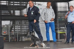 fotografie-6