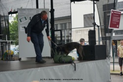fotografie-10
