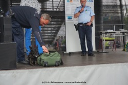 fotografie-15