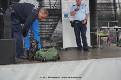 fotografie-16
