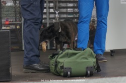 fotografie-25